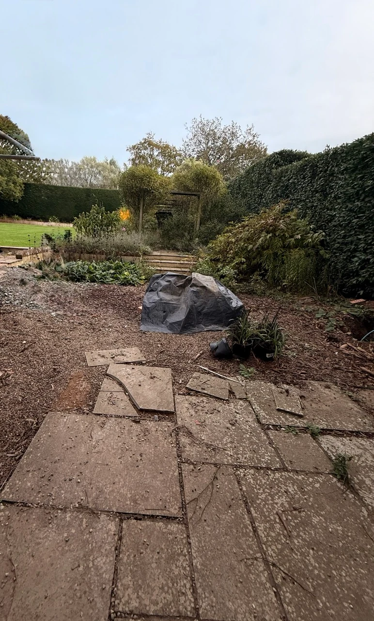 The existing steps and pergola at the top of the garden.