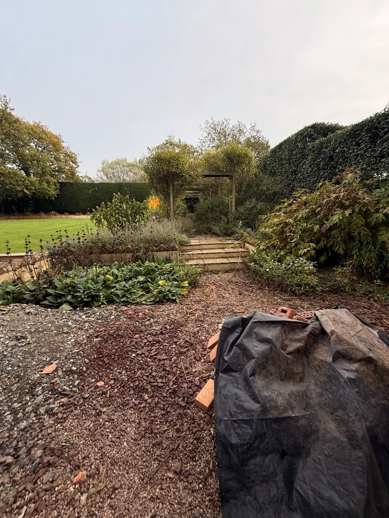 The upper garden before work, with the original planting and retaining wall.