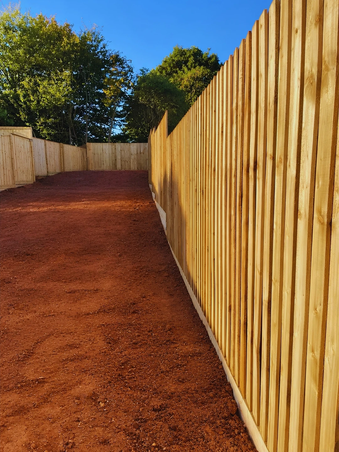 A tall featheredge fence enclosing a garden, with a mulched border, a garden shed and more fencing visible beyond