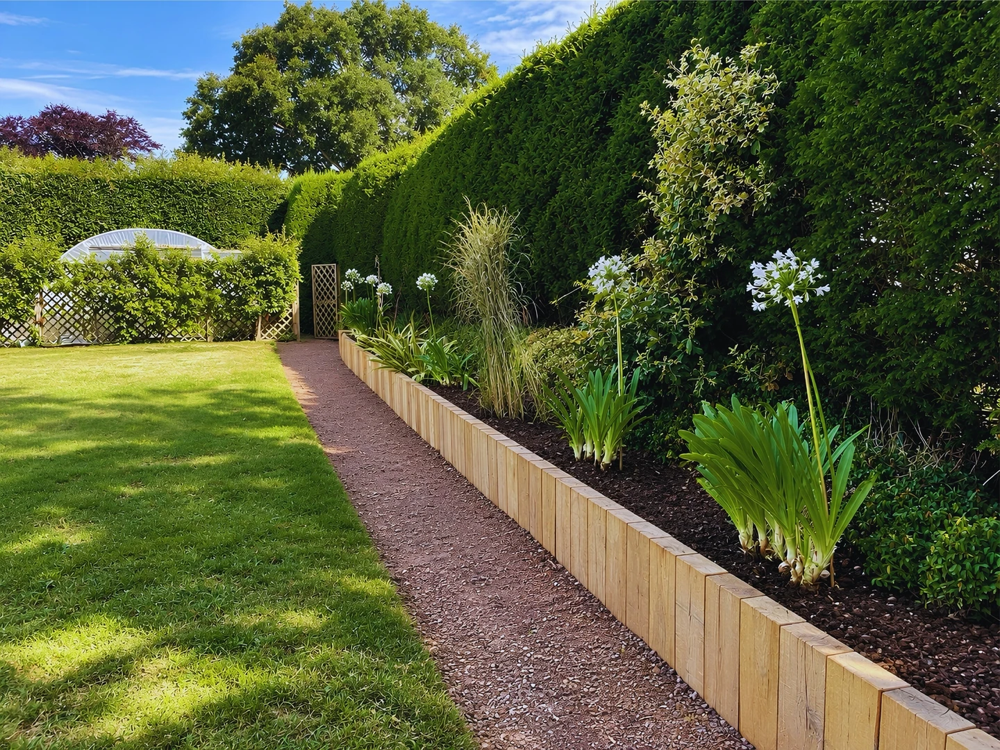 A newly planted border of ornamental grasses and agapanthus along a clipped hedge, edged in timber sleepers beside a gravel path