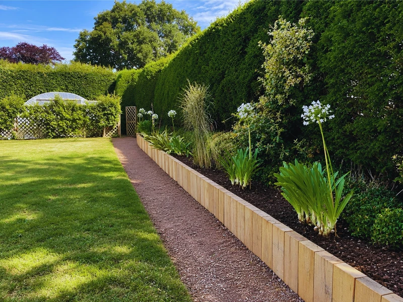 A newly planted border of ornamental grasses and agapanthus along a clipped hedge, edged in timber sleepers beside a gravel path